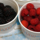 Bar Gelateria Nettuno Salerno - Gelati alla frutta fresca di stagione - More e lamponi